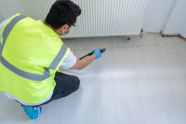 Best Pest Prevention Services  in Santa Rosa, CA